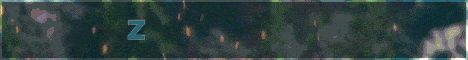 Zenee Network banner